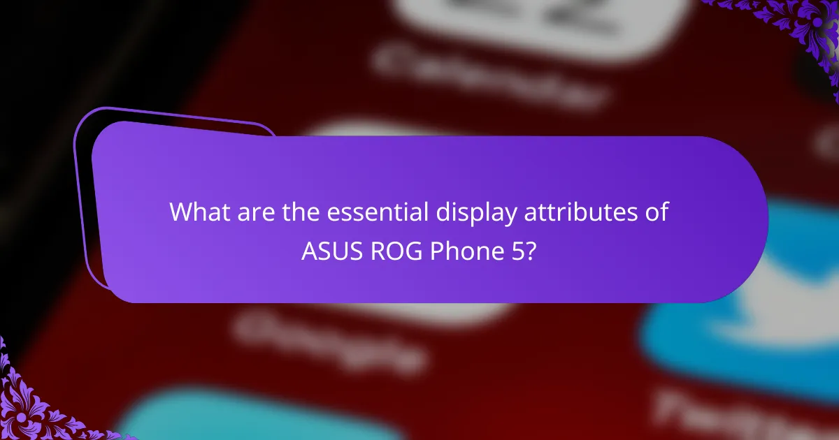 What are the essential display attributes of ASUS ROG Phone 5?